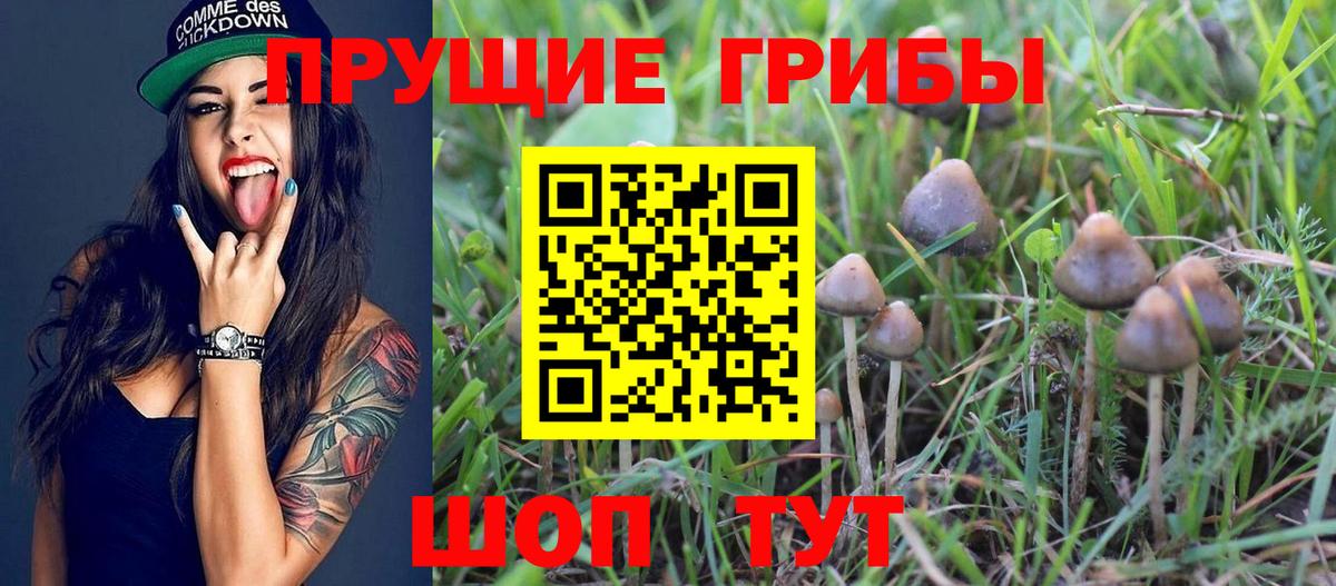 Михайловка  Псилоцибиновые грибы мухоморы  дарнет шоп  Вход с VPN 